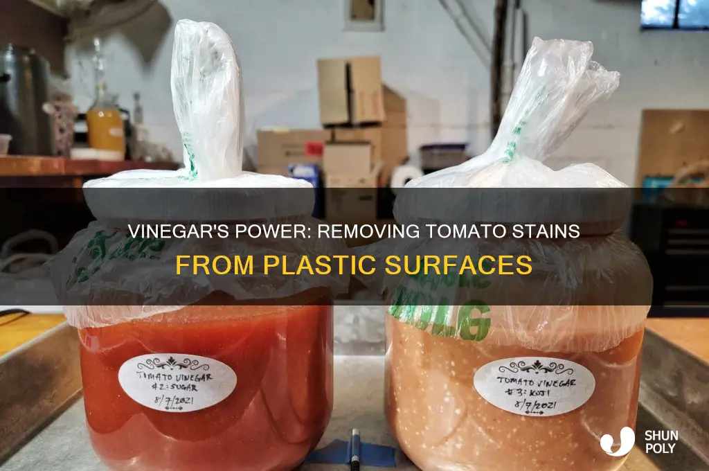 does vinegar remove tomato stains from plastic