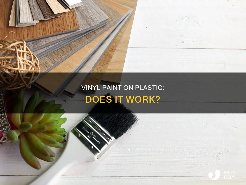 does vinyl paint work on plastic