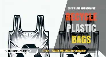Do Waste Management Services Actually Recycle Plastic Bags? Find Out Here
