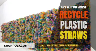 Can Plastic Straws Be Recycled? Waste Management Explains