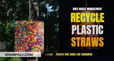 Waste Management's Plastic Straw Recycling: What's the Deal?