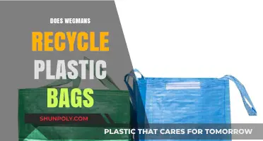 Does Wegmans Recycle Plastic Bags? Eco-Friendly Shopping Tips Revealed