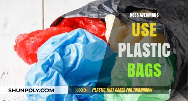 Does Wegmans Still Use Plastic Bags? Eco-Friendly Shopping Explained