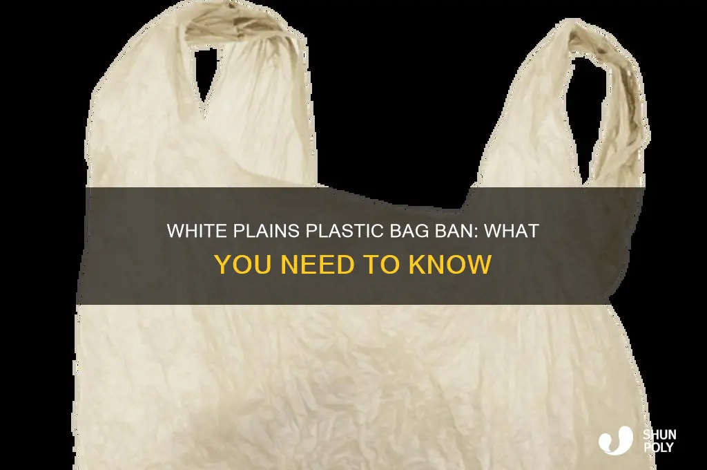does white plains have a plastic bag ban