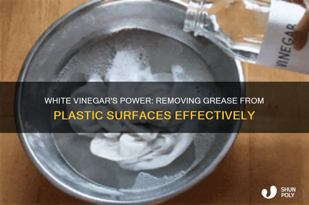 does white vinegar remove grease from plastic