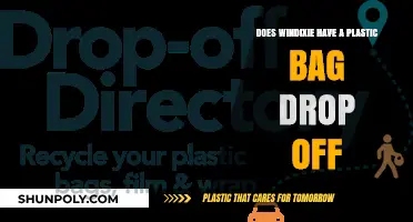 Does Winn-Dixie Accept Plastic Bag Drop-Offs? Find Out Here