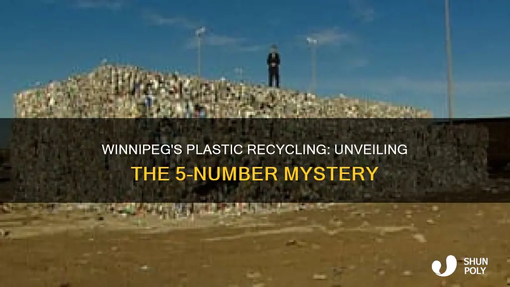 does winnipeg recycle 5 plastic