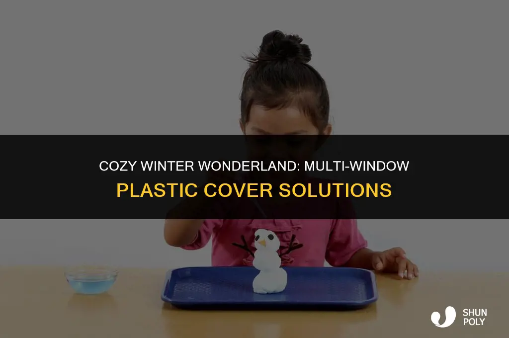 does winter wonderland plastic cover of more than one window