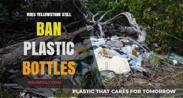 Yellowstone's Plastic Bottle Ban: Current Status and Environmental Impact