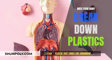 The Human Body and Plastic: Breakdown or Harm?