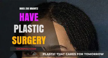 Zoe Kravitz Plastic Surgery Speculations: Fact-Checking the Rumors