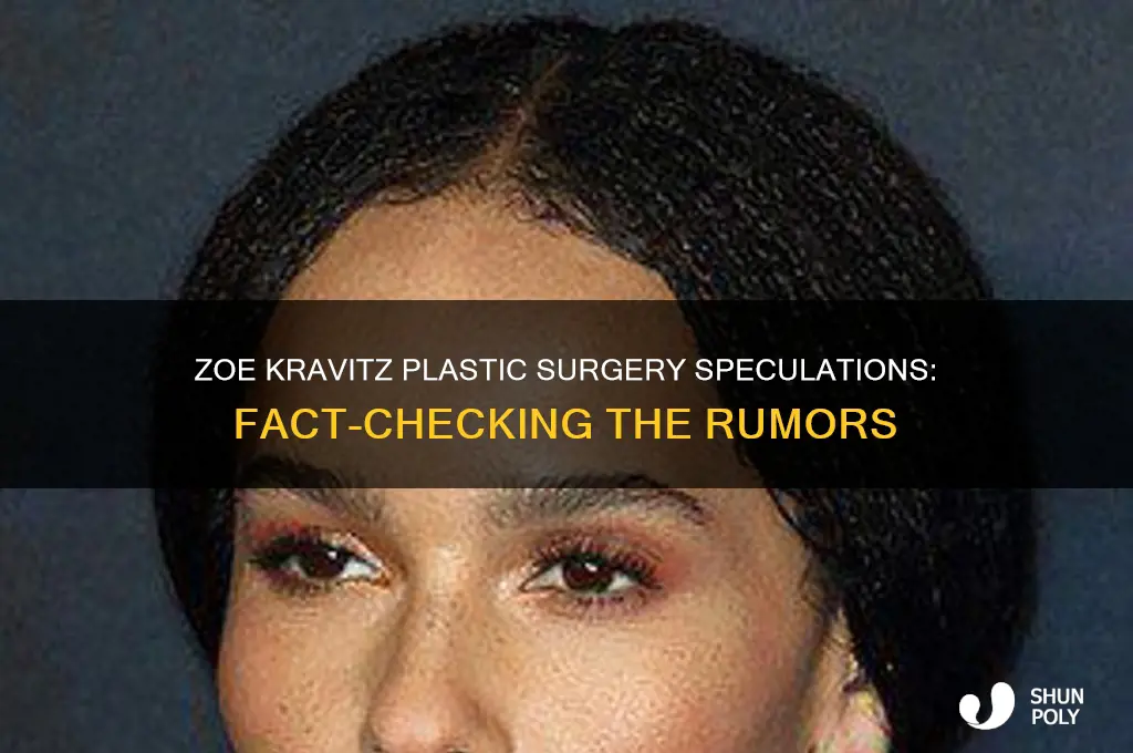 does zoe kravitz have plastic surgery