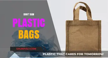 Rethinking Plastic Bag Bans: Sustainable Alternatives and Practical Solutions
