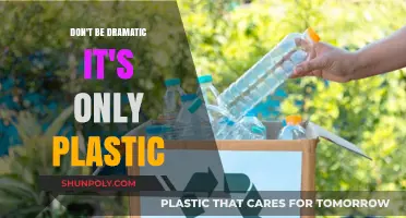Embracing Imperfection: Why Plastic Isn't the End of the World