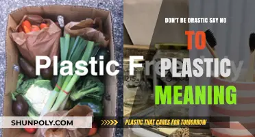 Eco-Friendly Alternatives: Embracing a Plastic-Free Lifestyle