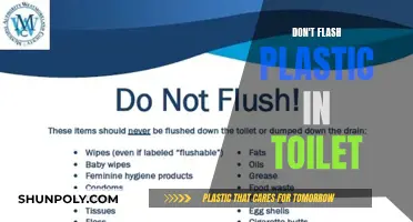 Plastic and Toilets: A Dangerous Mix