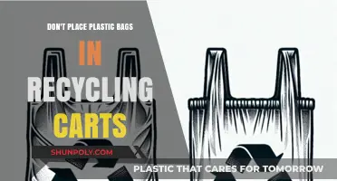 Avoid Recycling Mistakes: Keep Plastic Bags Out of Carts