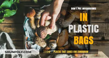 Avoid Plastic Bags: Keep Mushrooms Fresh and Flavorful Naturally