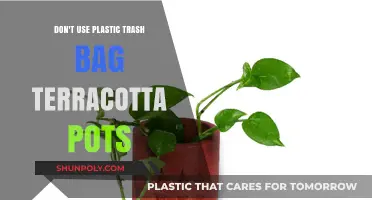 Eco-Friendly Gardening: Avoid Plastic Trash Bags in Terracotta Pots