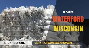 Sustainable Solutions: Exploring Plastics Recycling in Waterford, Wisconsin
