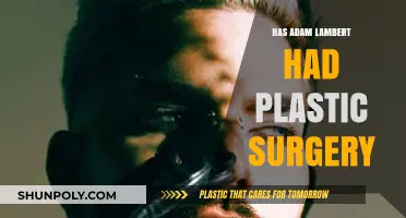Adam Lambert's Transformation: Plastic Surgery Rumors Explored and Debunked