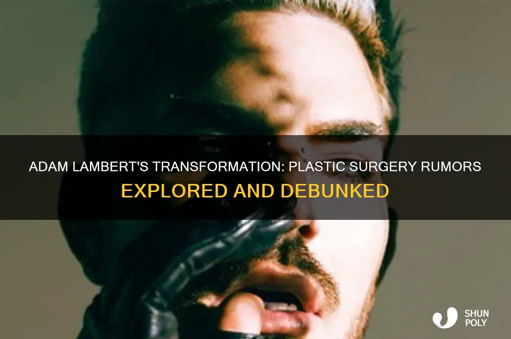 has adam lambert had plastic surgery