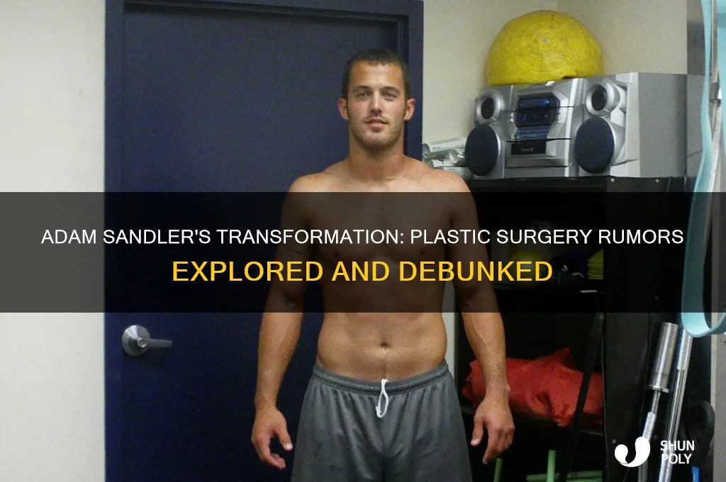 has adam sandler had plastic surgery