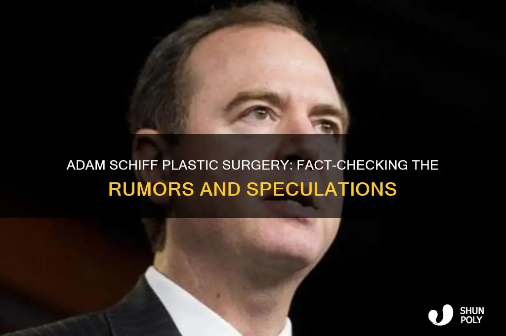 has adam schiff had plastic surgery