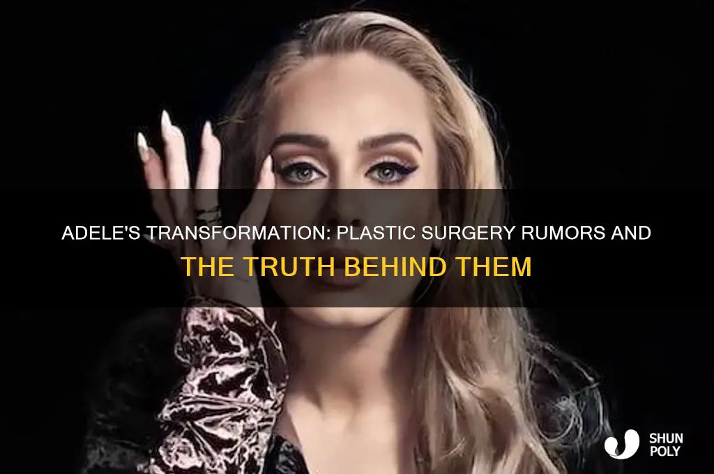 has adele got plastic surgery