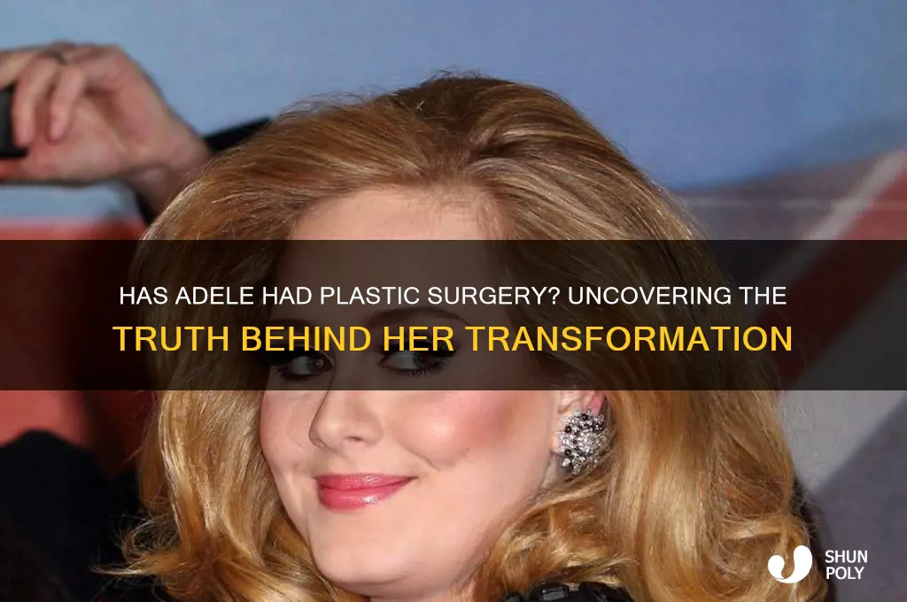 has adelle had plastic surgery