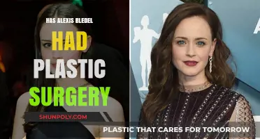Alexis Bledel's Transformation: Plastic Surgery Rumors Explored