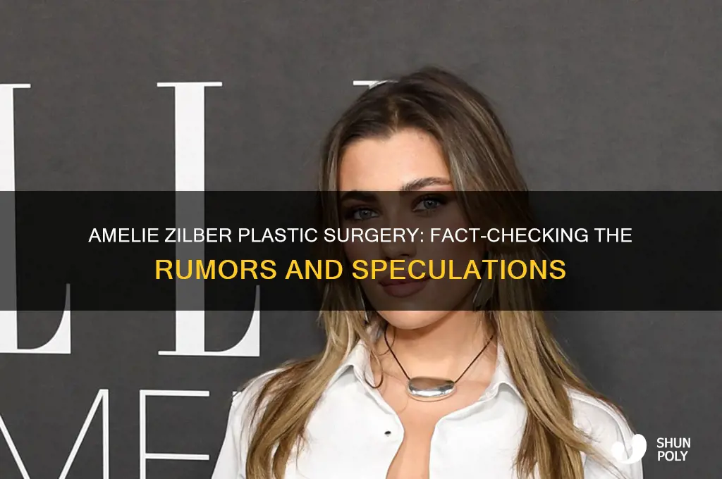 has amelie zilber had plastic surgery