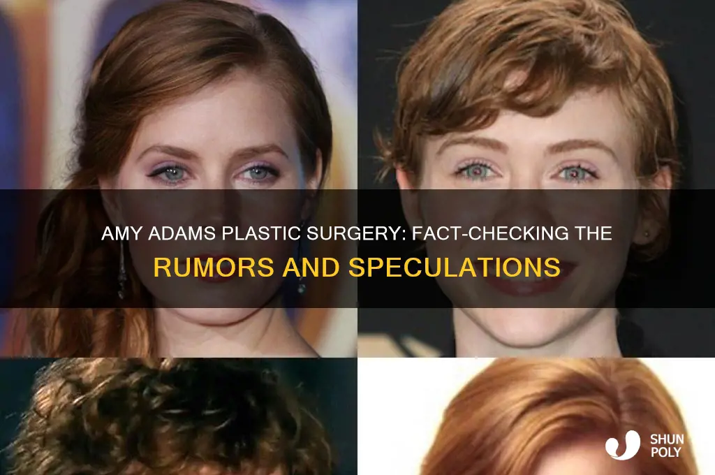 has amy adams had plastic surgery