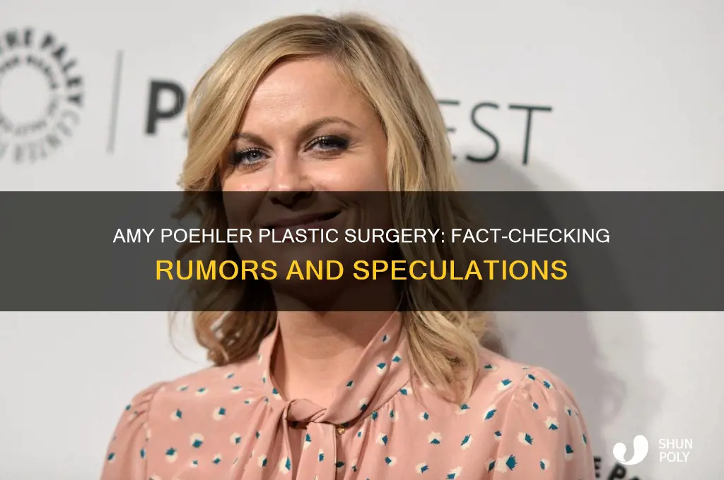 has amy poehler had plastic surgery