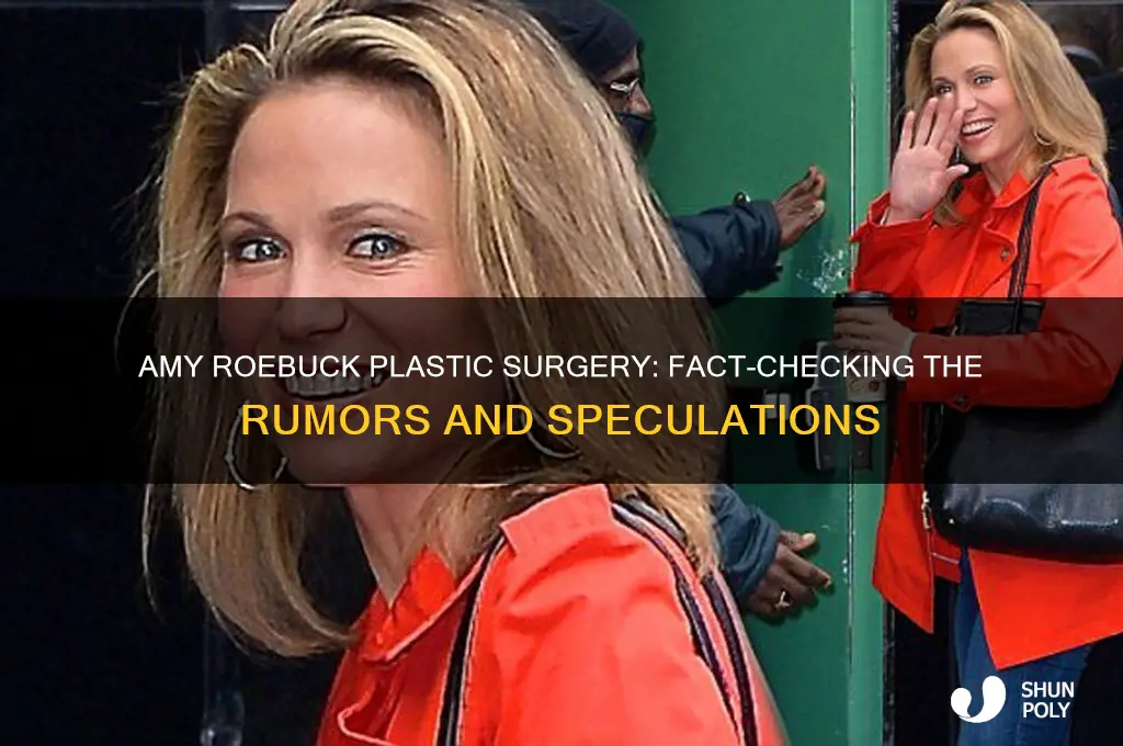 has amy roebock had plastic surgery