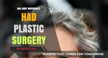 Andy MacDowell's Ageless Beauty: Plastic Surgery Speculations Explored