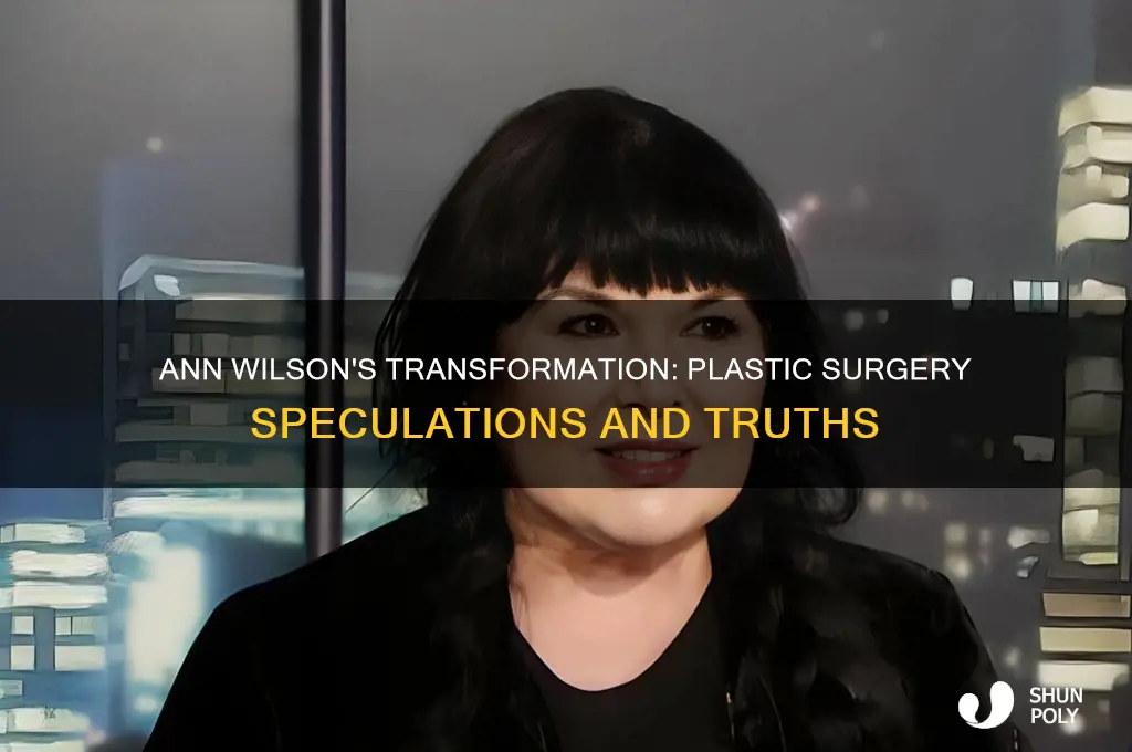 has ann wilson had plastic surgery