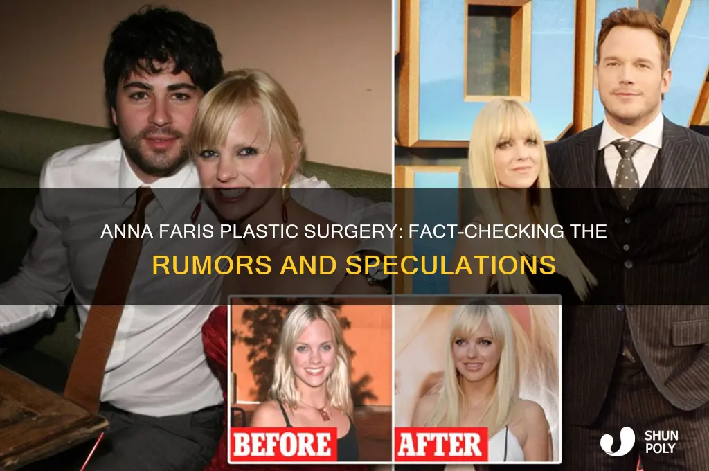 has anna faris had any plastic surgery