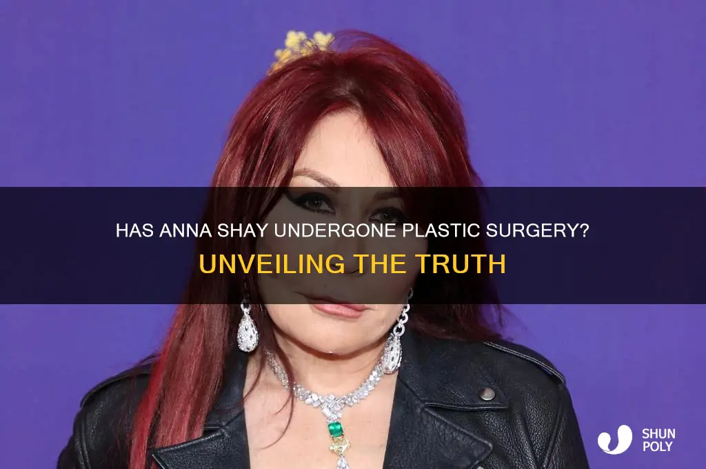 has anna shay had plastic surgery