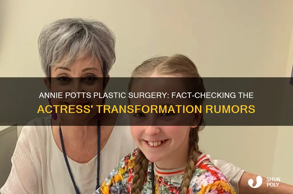has annie potts had plastic surgery