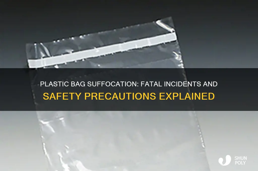 has anyone died from a plastic bag on their head