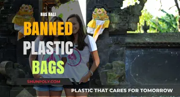 Bali's Plastic Bag Ban: Environmental Impact and Sustainable Alternatives