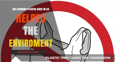California's Plastic Bag Ban: Environmental Impact and Progress So Far