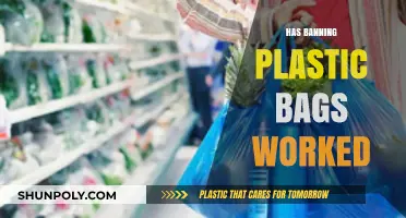 Has Banning Plastic Bags Reduced Environmental Impact? A Critical Analysis