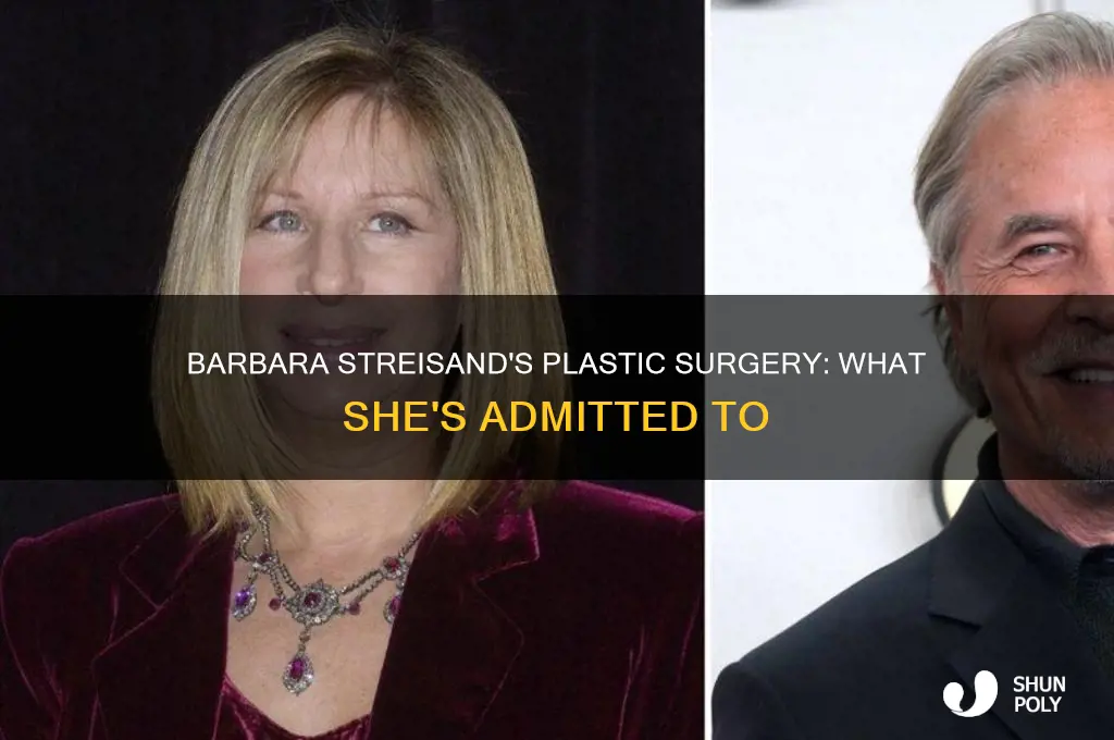 has barbara streisand admitted to having any plastic surgery proceedures