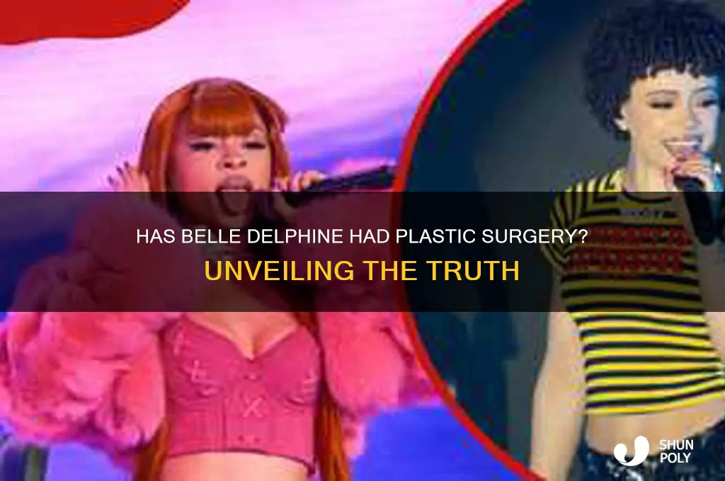 Has Belle Delphine Had Plastic Surgery? Unveiling The Truth ShunPoly