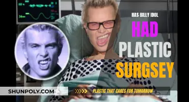 Billy Idol's Plastic Surgery: What's Real?