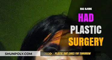 Björk's Evolving Look: Plastic Surgery Speculations and Facts Revealed