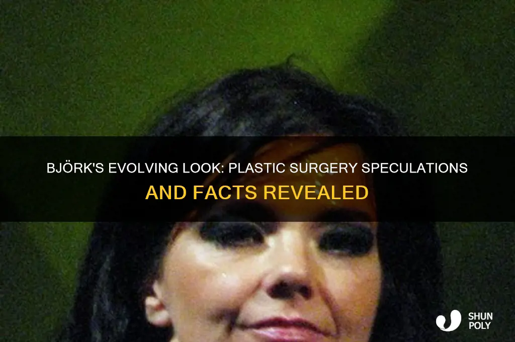 has bjork had plastic surgery
