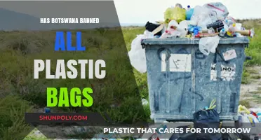 Botswana's Bold Move: Banning All Plastic Bags Nationwide